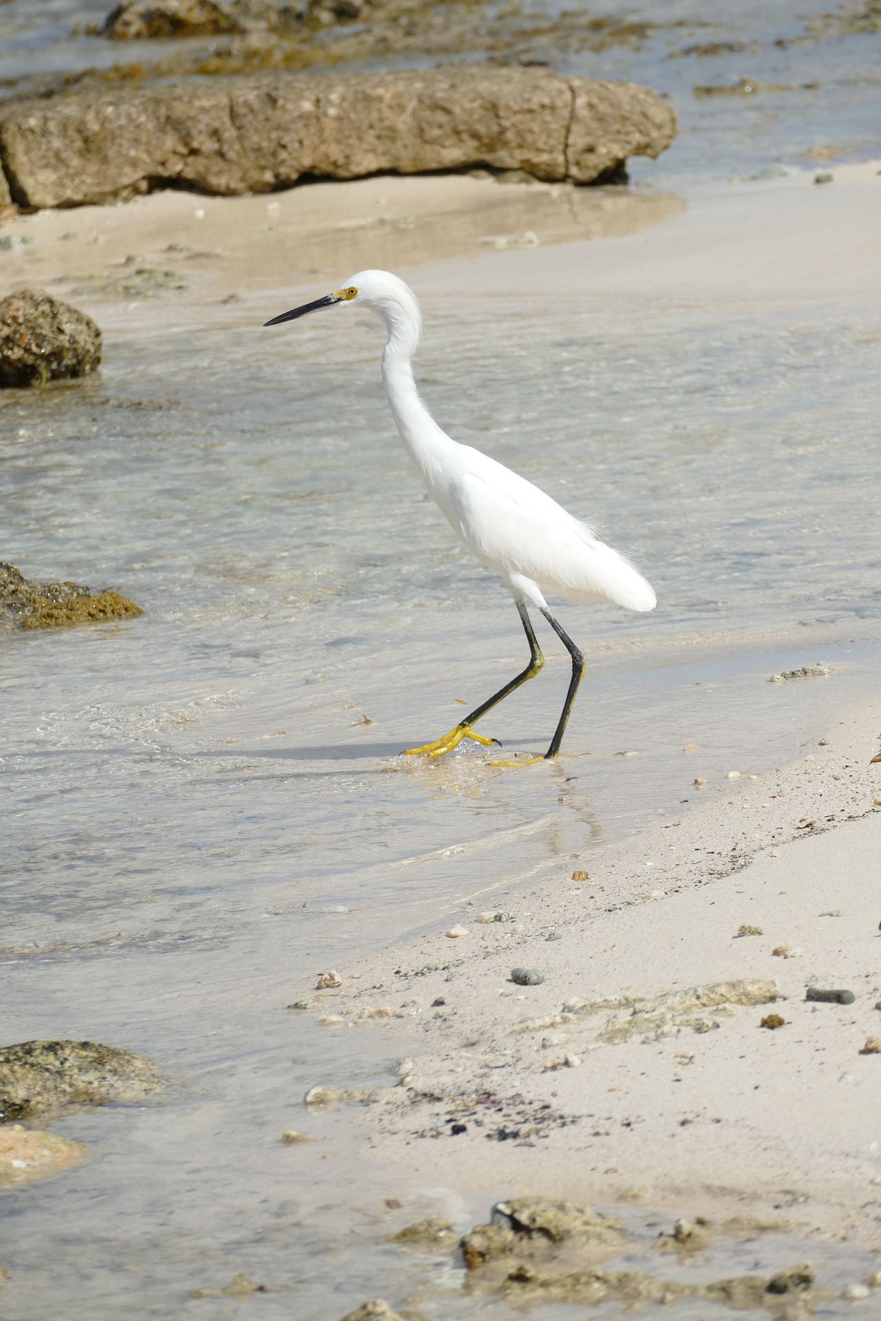 Bonaire