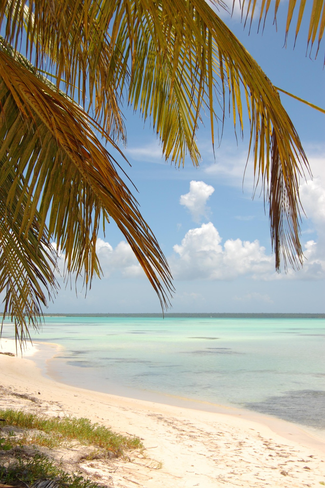 Cộng hòa Dominica