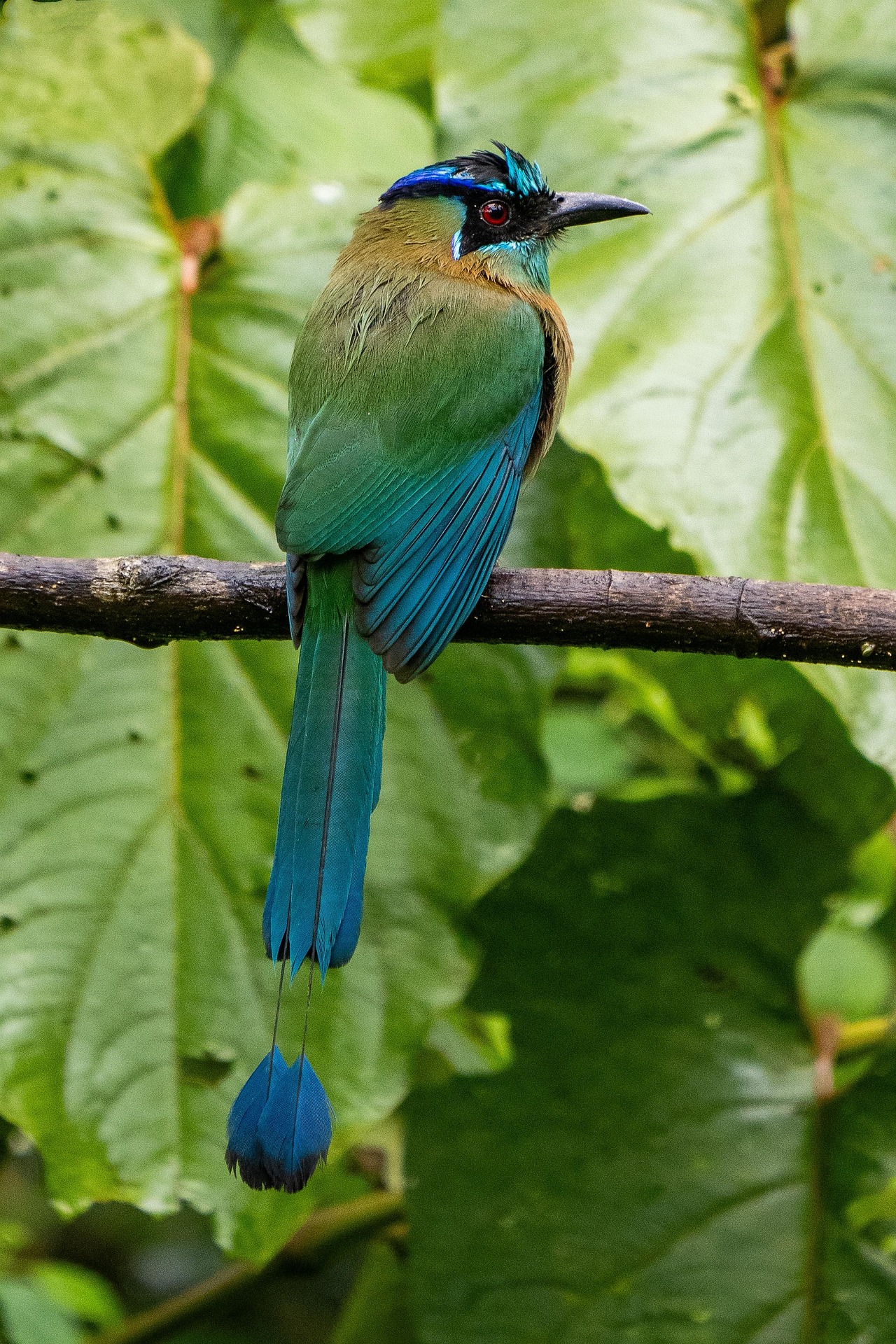 Costa Rica