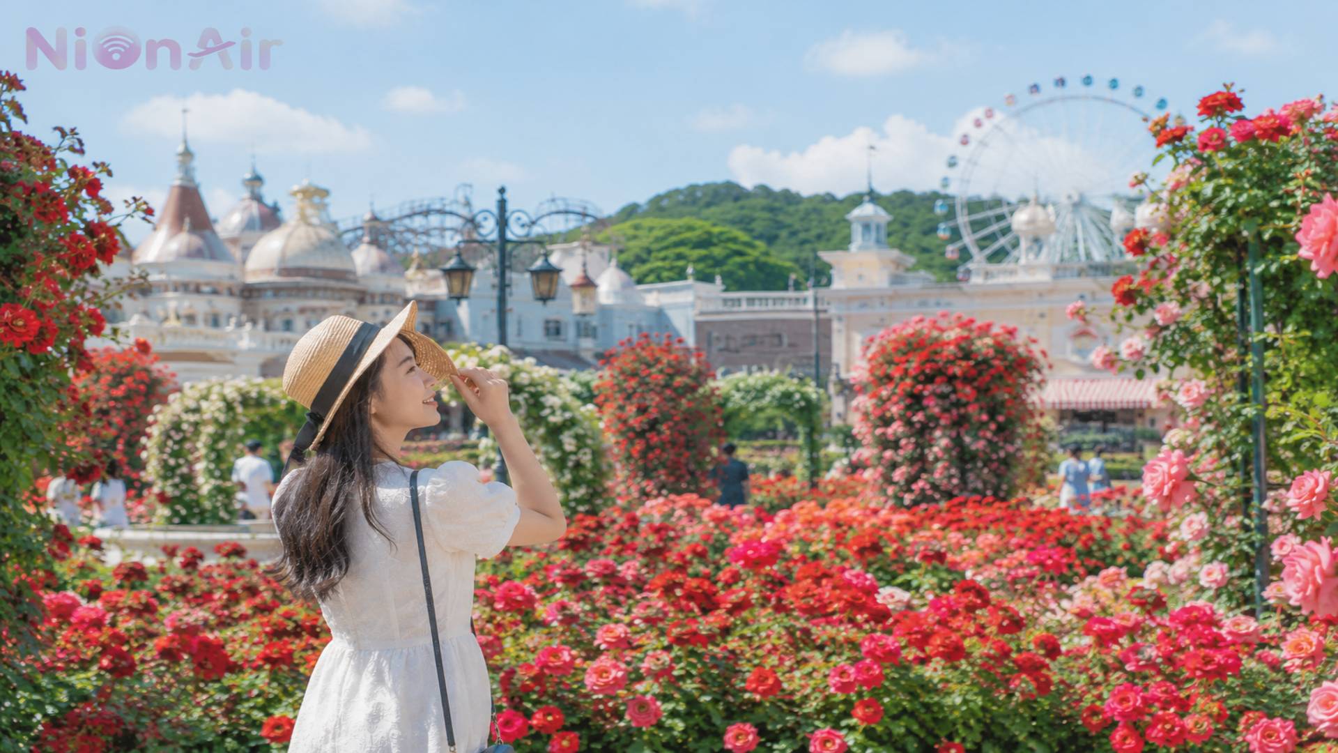 Du khách check-in tại vườn hoa hồng rực rỡ vào mùa hè tại Công viên giải trí Everland