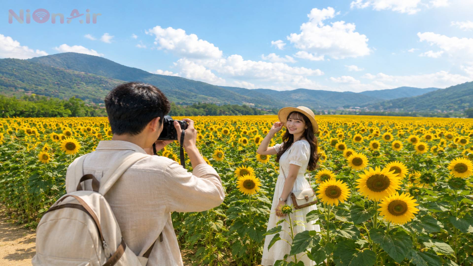 Du khách check-in cánh đồng hoa hướng dương nở rộ tại Gangwon-do