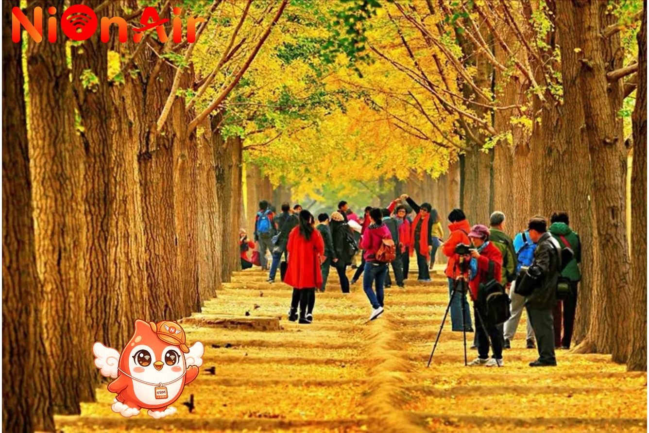 So sánh chi phí du lịch Trung Quốc tự túc và theo tour.