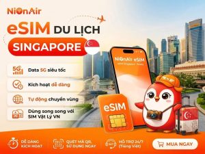Mua eSIM du lịch Singapore giúp bạn lướt net thả ga mọi lúc
