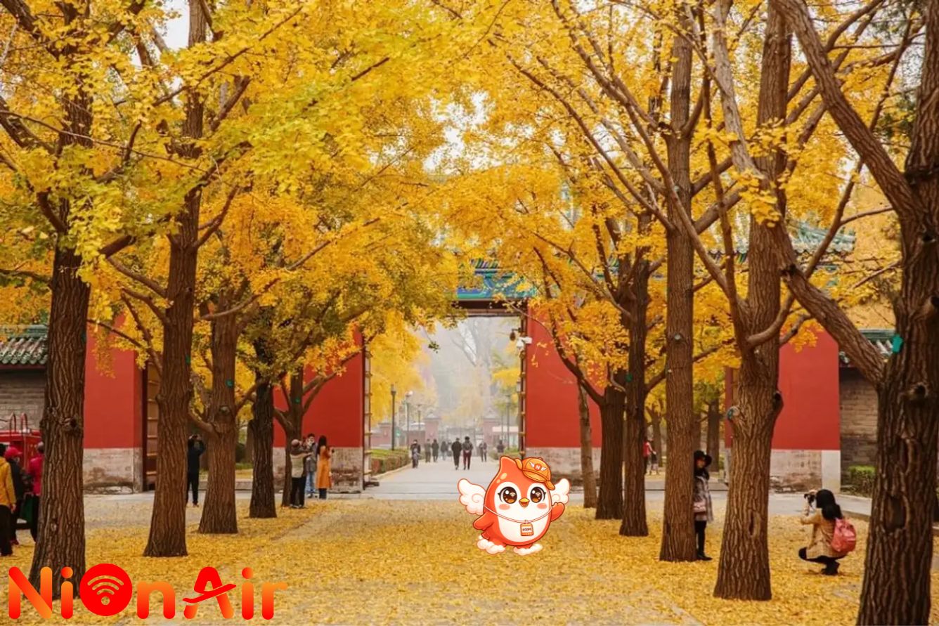 Du lịch Trung Quốc mùa thu.