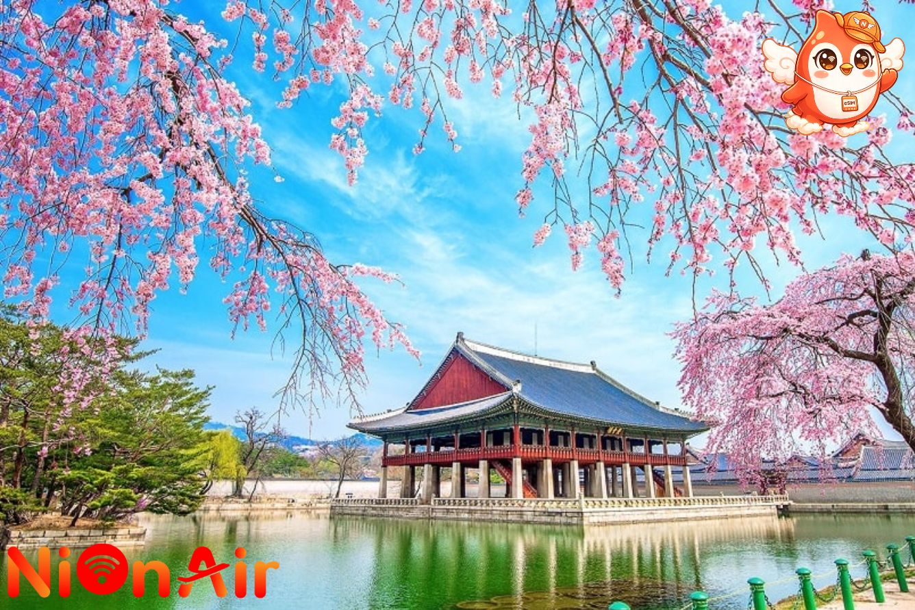 Du lịch Trung Quốc mùa xuân.